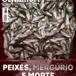 Revista Cenarium | Ed. 41 – Novembro/2023