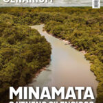 Revista Cenarium | Ed. 58 – Abril/2025